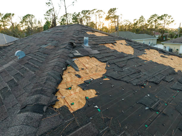  Hayfork, CA Roofing Service Pros